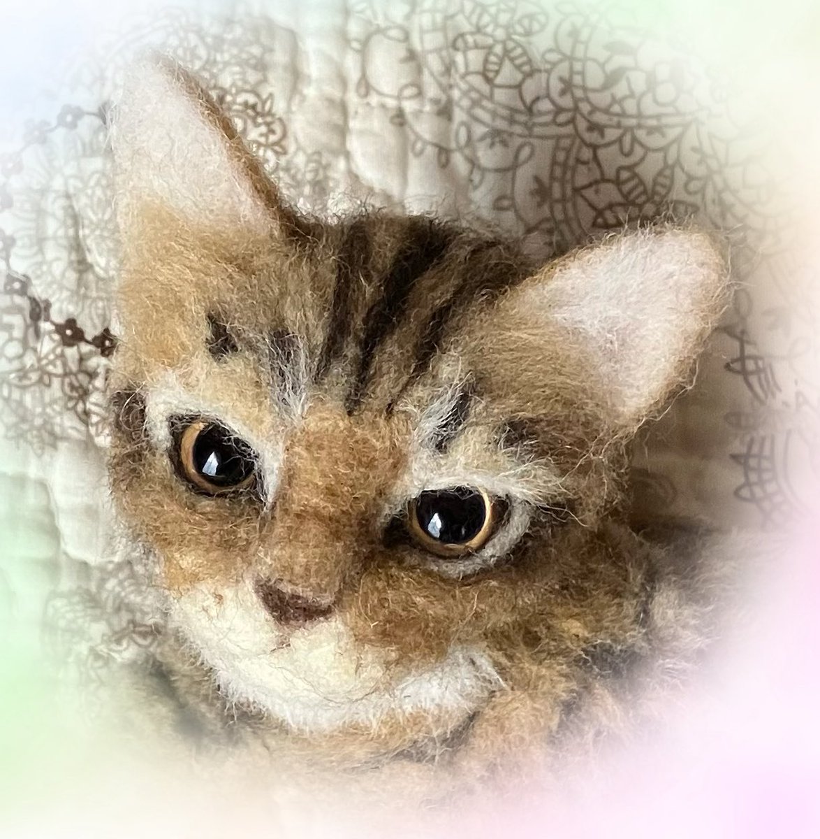 猫の日 #2月22日 🐈猫ちゃん達が🐈‍⬛ 優しい人達に囲まれて 暮らせ