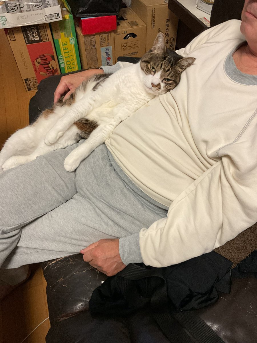 猫の日？ 我が家に猫はいませんでした まじか、、ちっち（♂）、、w