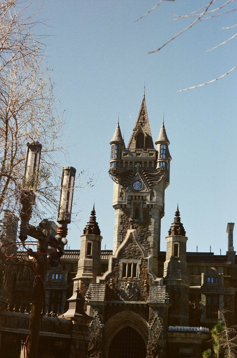 Gprodigy tweet media