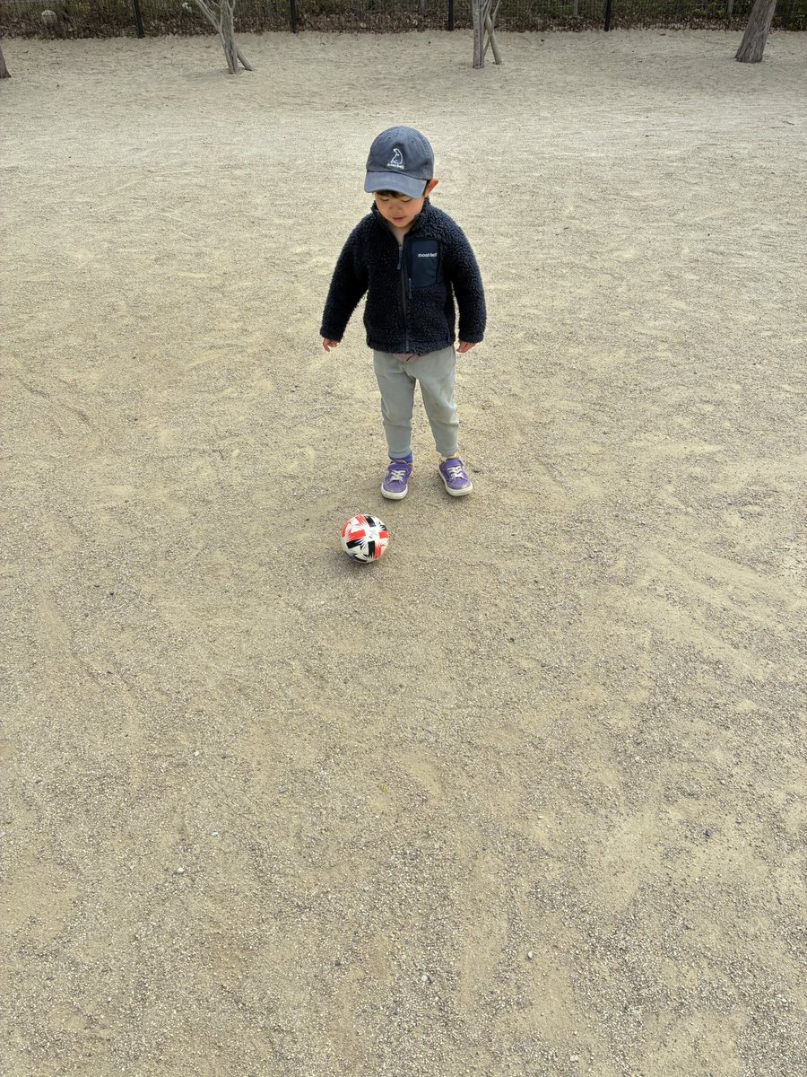 mittsu88's tweet photo. 息子も昨日の興奮がおさまらず、朝から公園でサッカーです⚽️

#vvaren 
#寒い
#誰もいない公園 https://t.co/r5dO07ooeQ