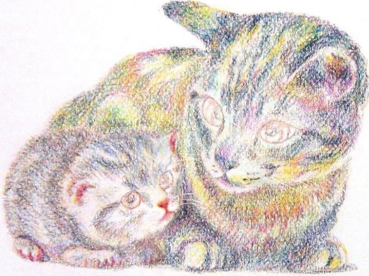 猫の日 色鉛筆で、ちょっと変わった 描き方を試みた、お絵描きで す。 ☆
