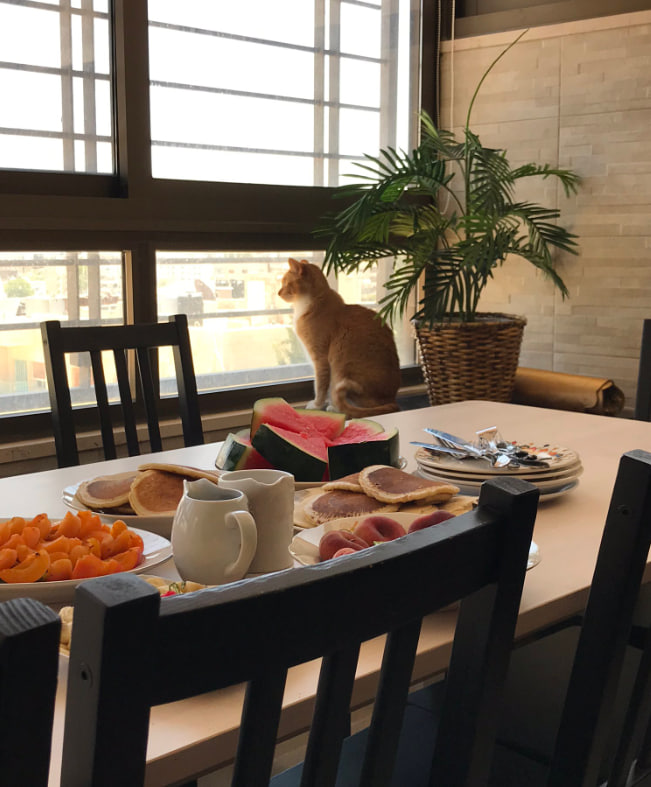 OLIVEA2085's tweet photo. A cozy morning scene with a cat gazing out the window, surrounded by fresh fruit, pancakes, and breakfast essentials on a sunlit table. Perfect moment of tranquility and simple pleasures. https://t.co/WoPRwyFXwB