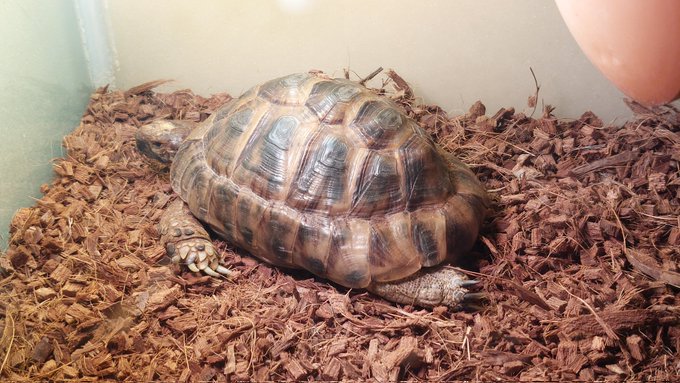 今日あったかいけど どうする? 