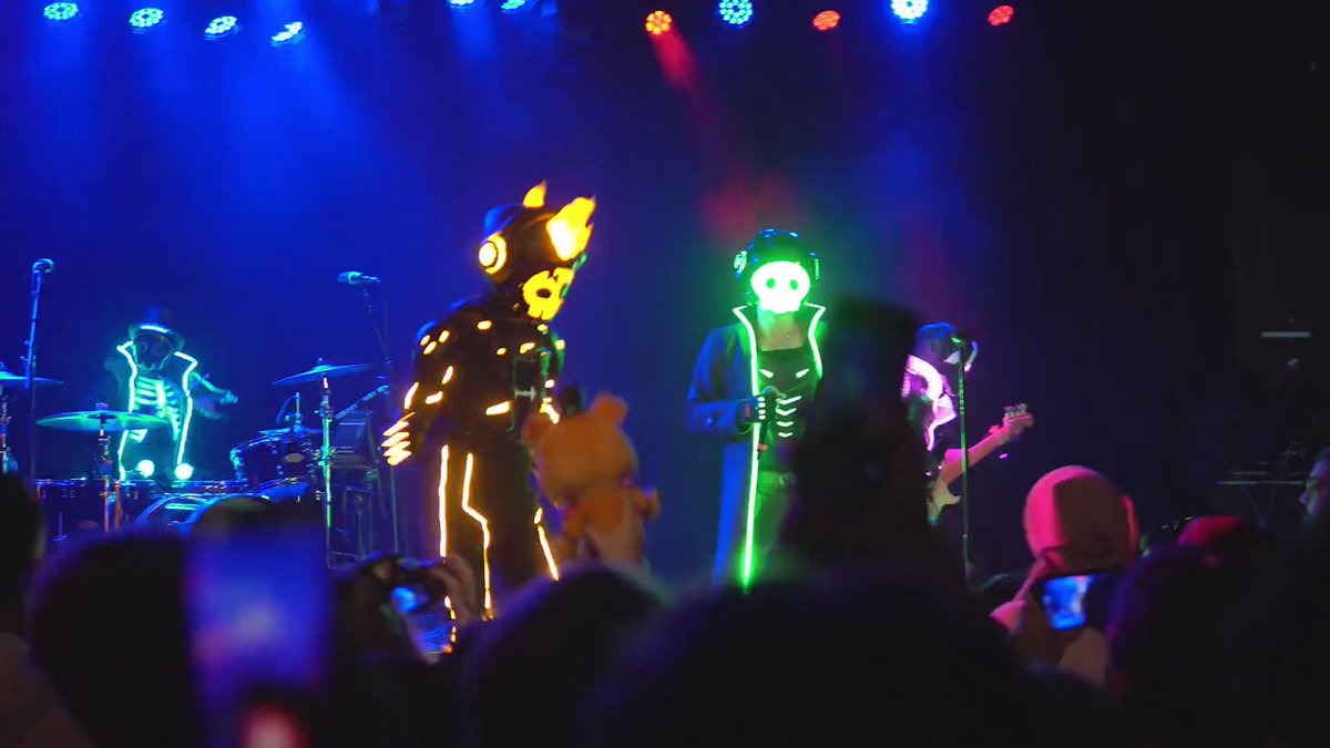 TLT archive tweet media