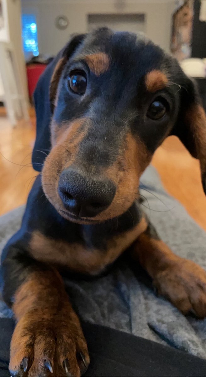 Jens Drawing tweet media