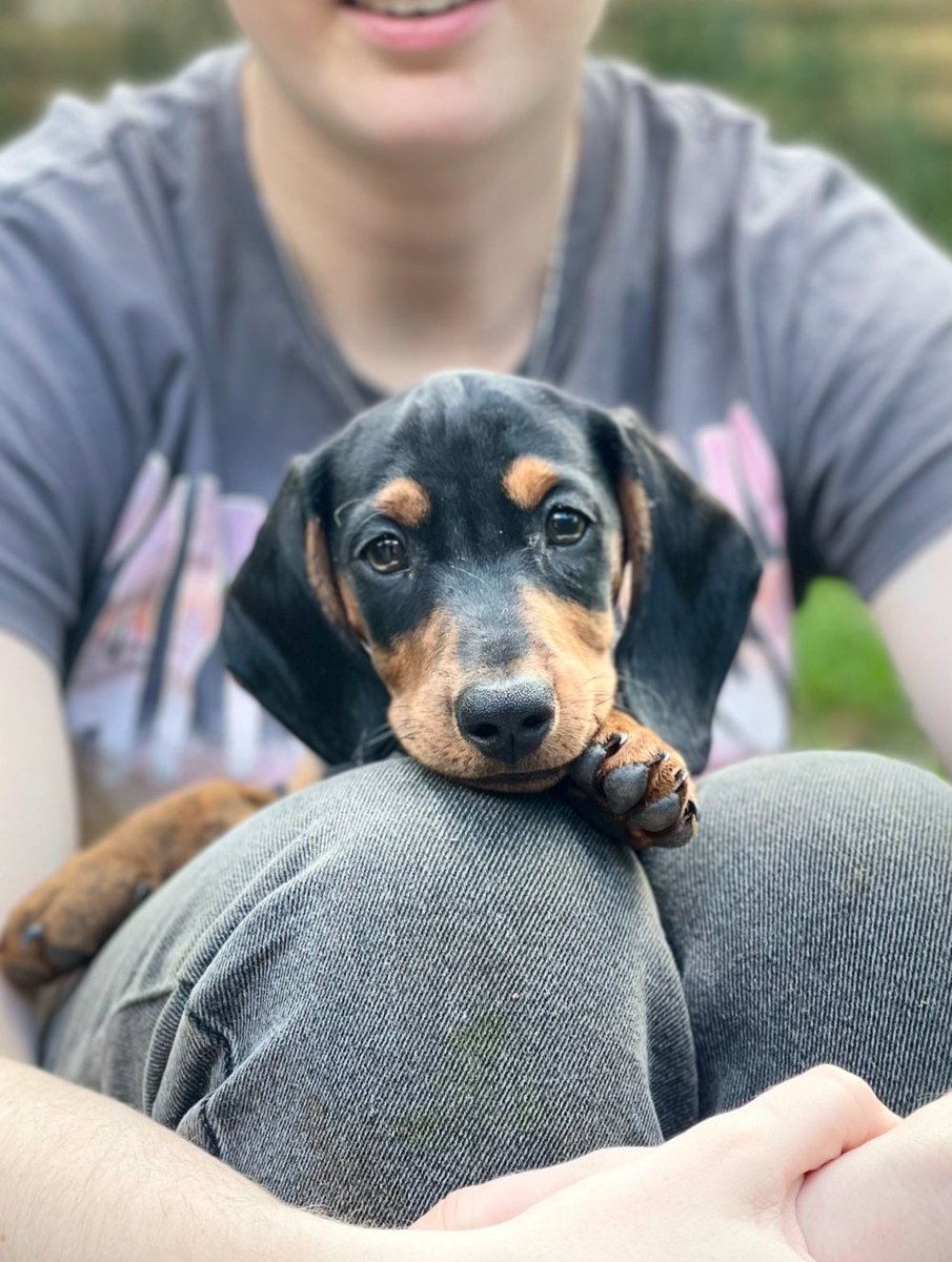 Jens Drawing tweet media