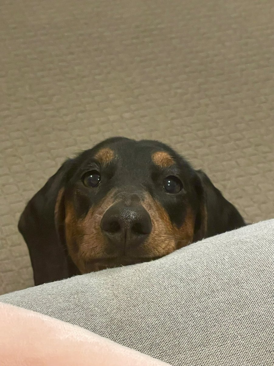 Jens Drawing tweet media