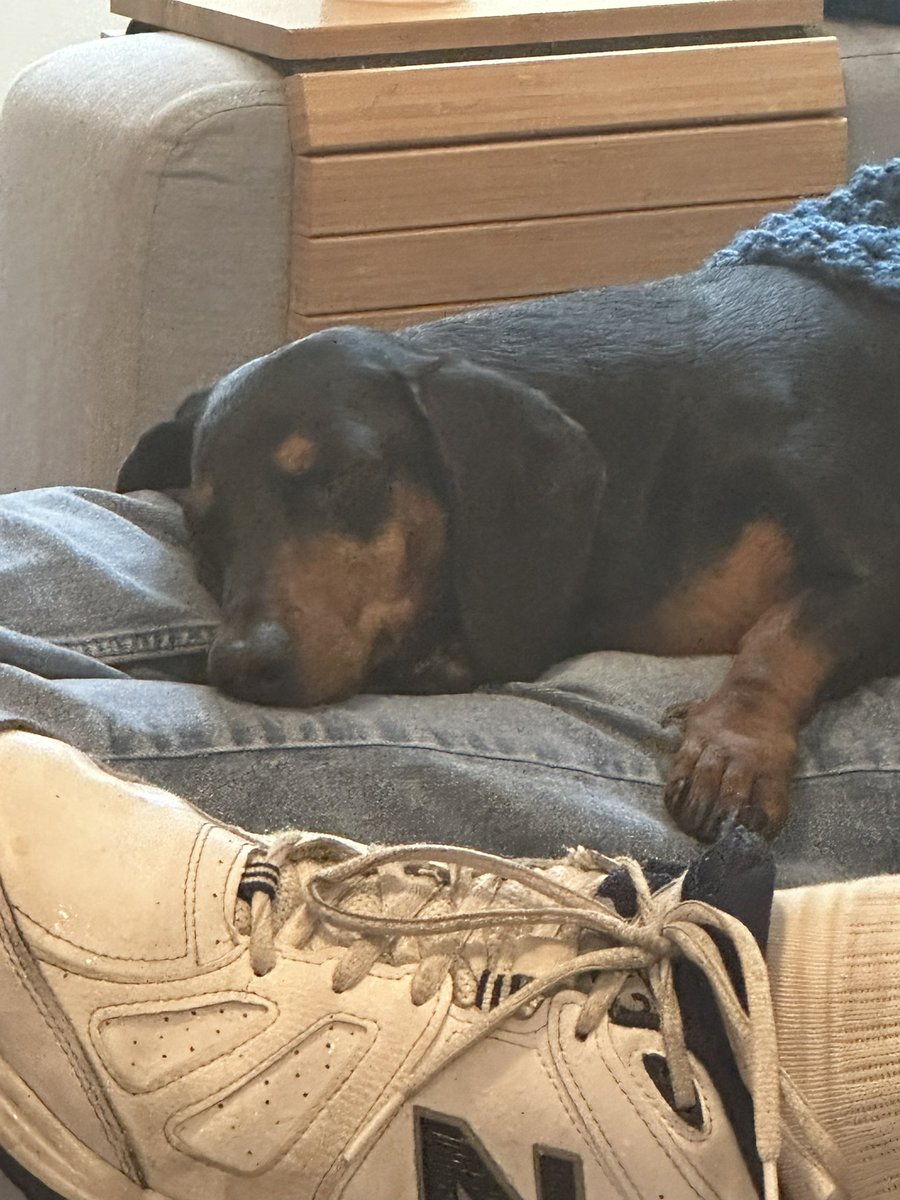 Jens Drawing tweet media