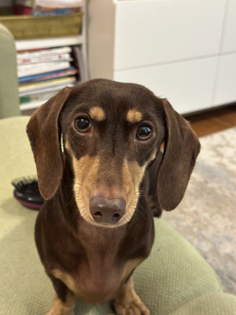 Jens Drawing tweet media