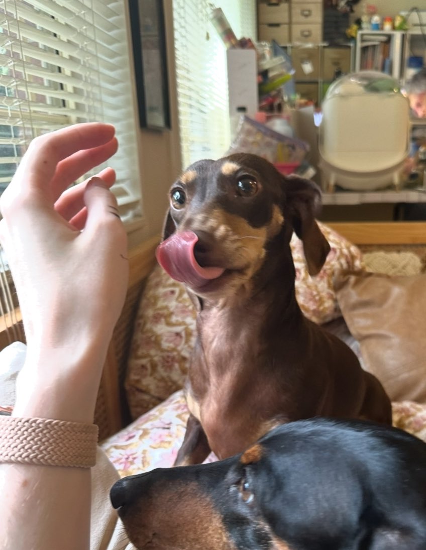 Jens Drawing tweet media