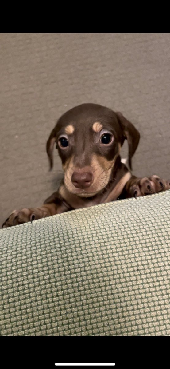 Jens Drawing tweet media