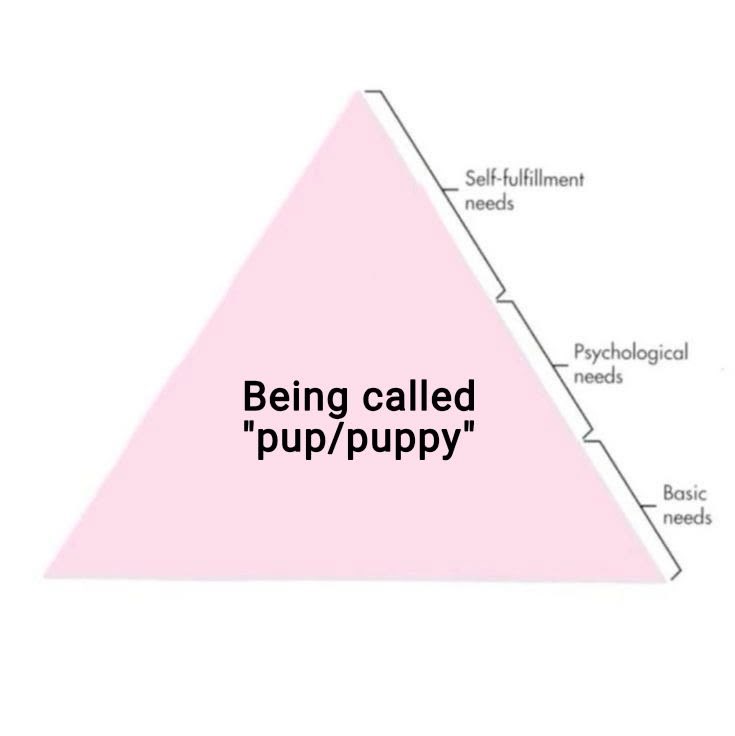 Kat ♡ (@ur_luvkitty) on Twitter photo 