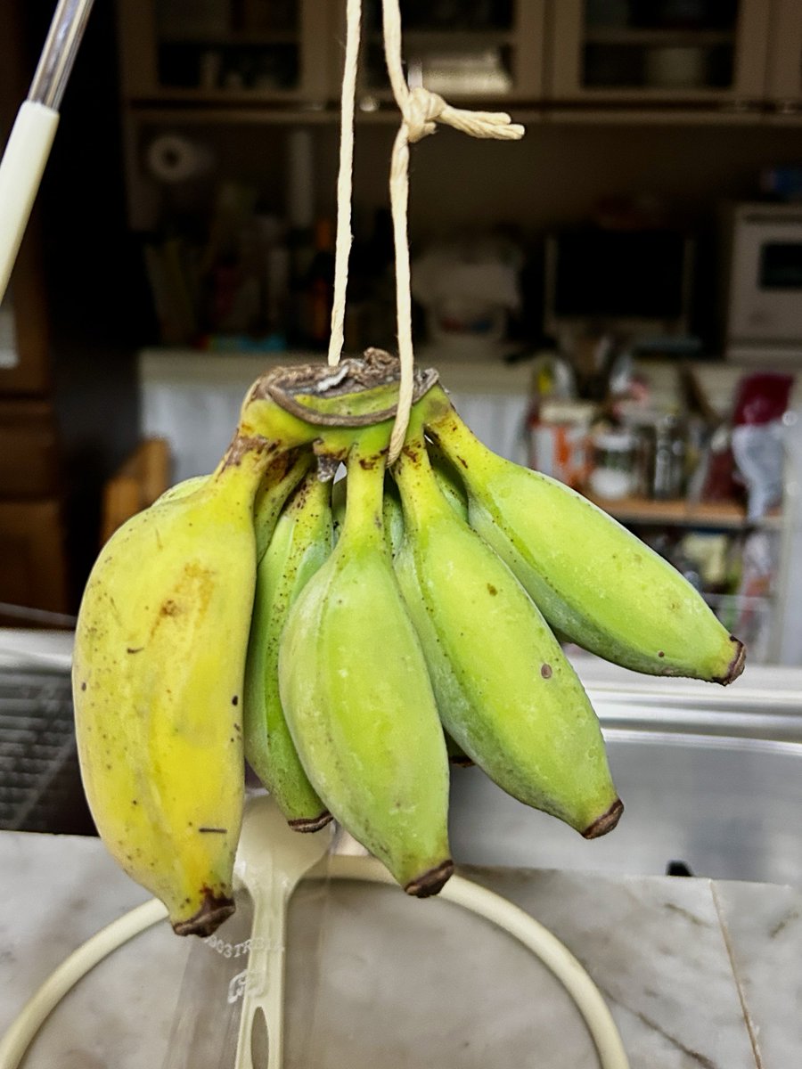 おはようございます。 今日も朝からお仕事してます… またまた沖縄から