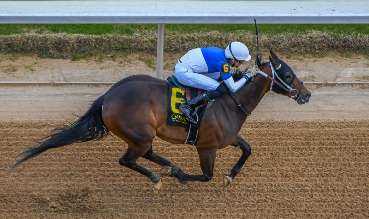 Robert Yates tweet media