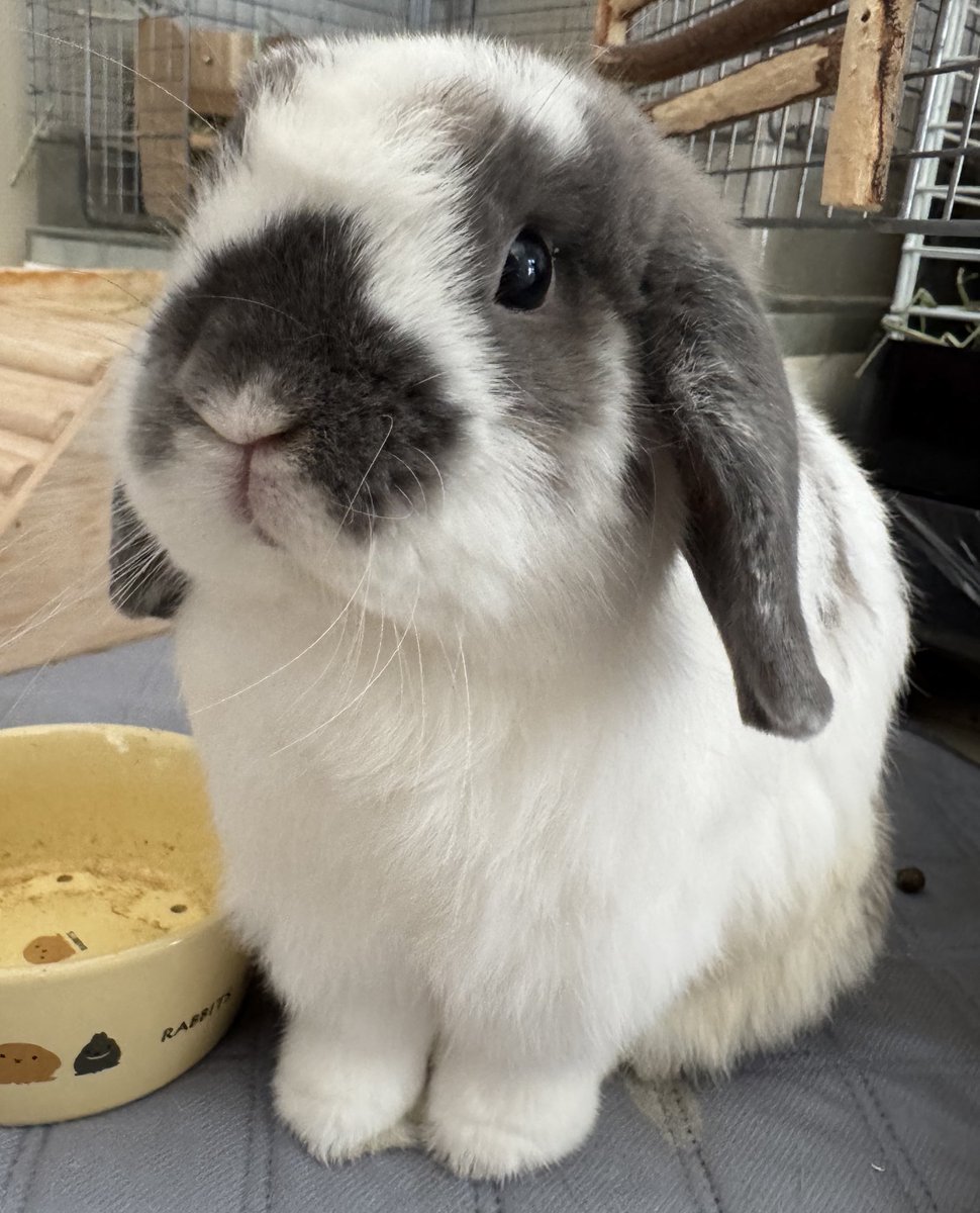 おはそば🌞です