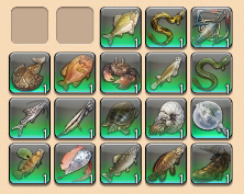 musicalmarauder's tweet photo. 18 new big fish and a fun new title! Another super fun and successful #FishFest this year! https://t.co/26ZH54qfTp