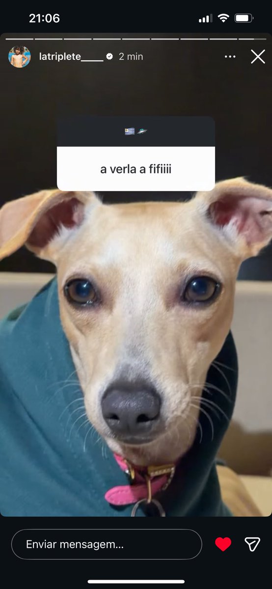 eu amo que a fifi é uma diva nesse fandom