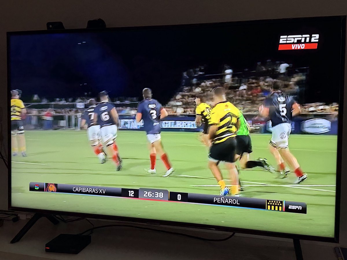 Pedro Zizzamia tweet media