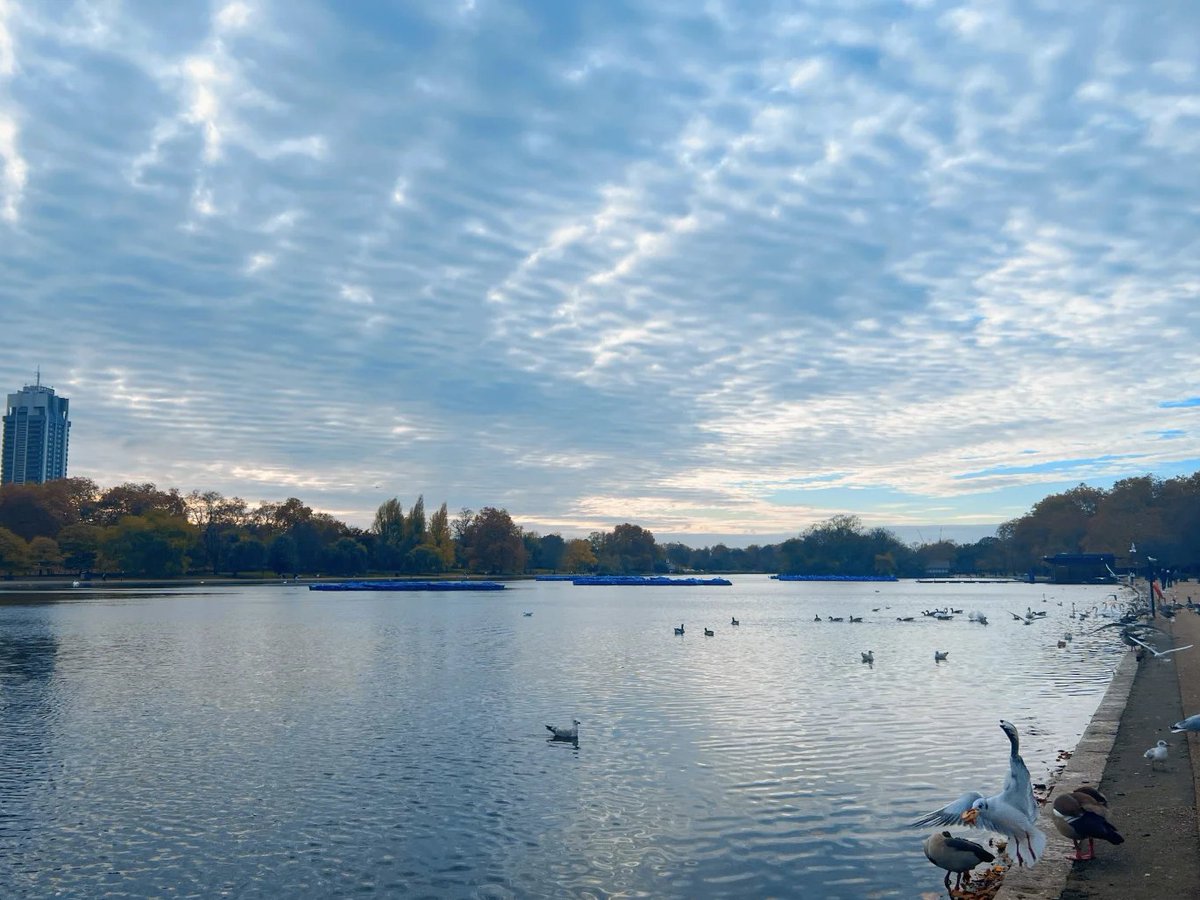 Elsie65789's tweet photo. Serenity by the water, where peaceful skies meet gentle waves and graceful swans drift by. https://t.co/2gt6vbA6rZ