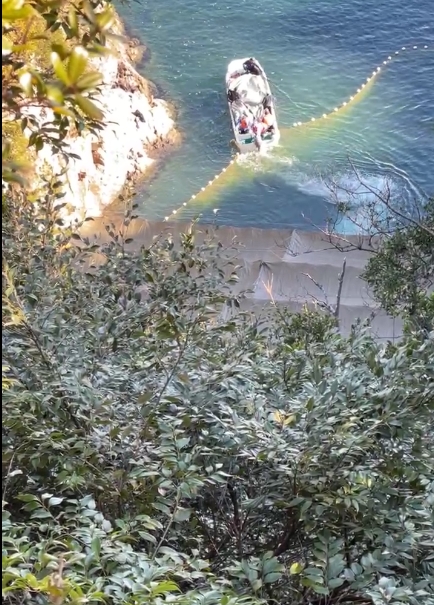 lyingBOTSph's tweet photo. #TaijiCoveJAPAN🔴: Skiff leaving with the lifeless small bodies of this poor #StripedDolphin family, on the way to the notorious #ButchersHouse. R.I.P. Dear Souls, migrating through these waters at the wrong time 🐬🐬🌈So sorry #LIVE from #Japan🇯🇵  https://t.co/liVqZb5goL https://t.co/QuLl3JnoBy