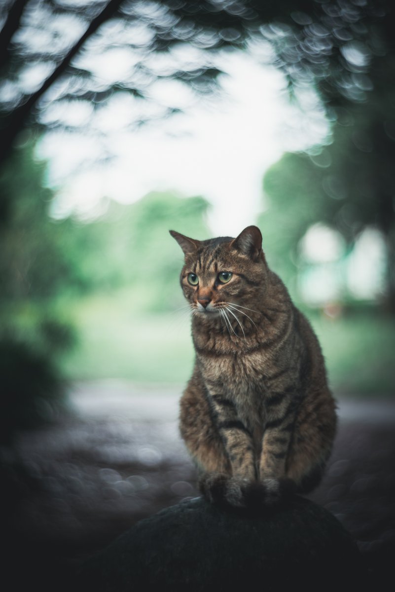 どこで撮ったかも覚えていなかったけれど、記録をたどると、どうやら