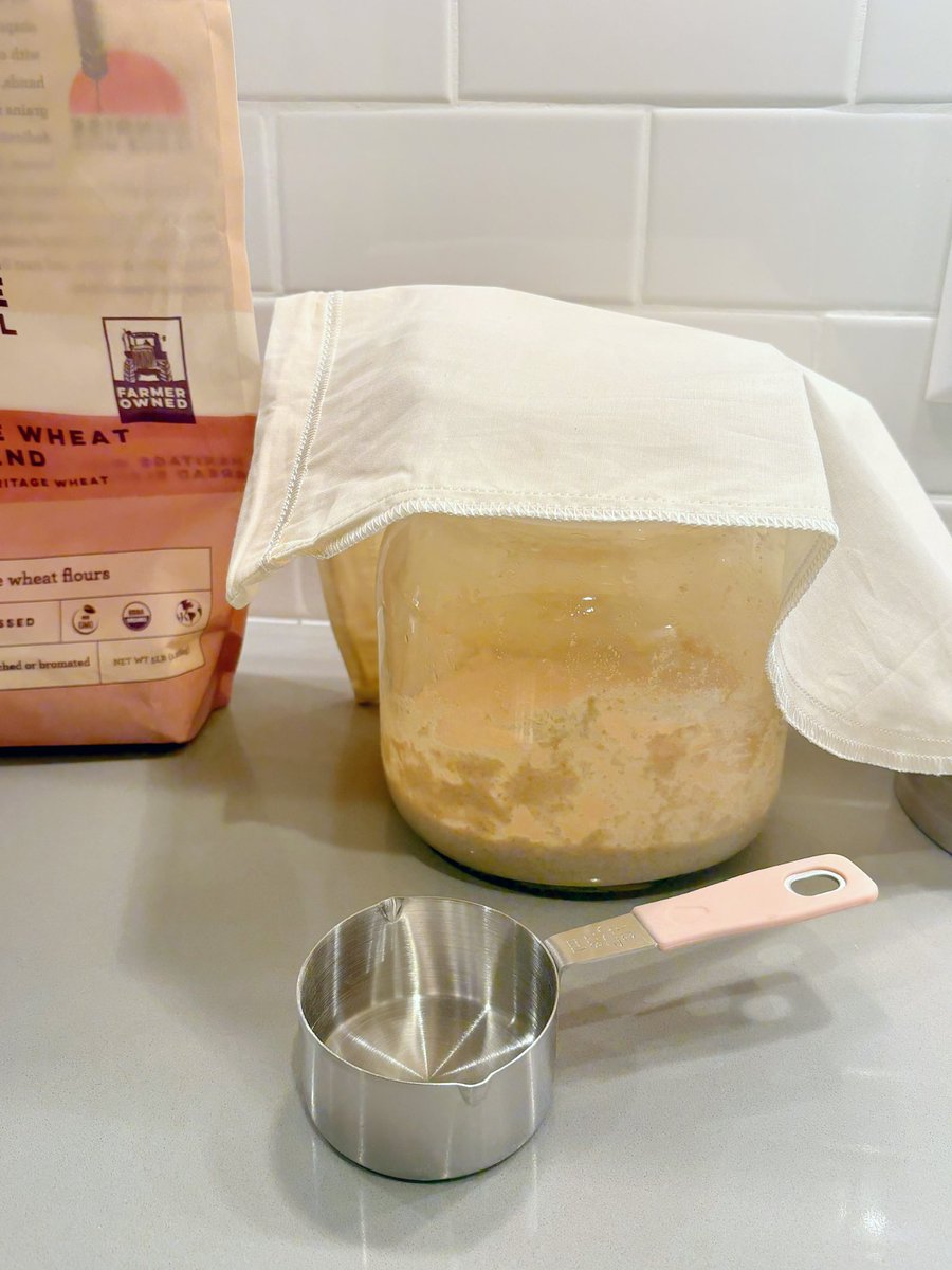 Jenny Hale tweet media