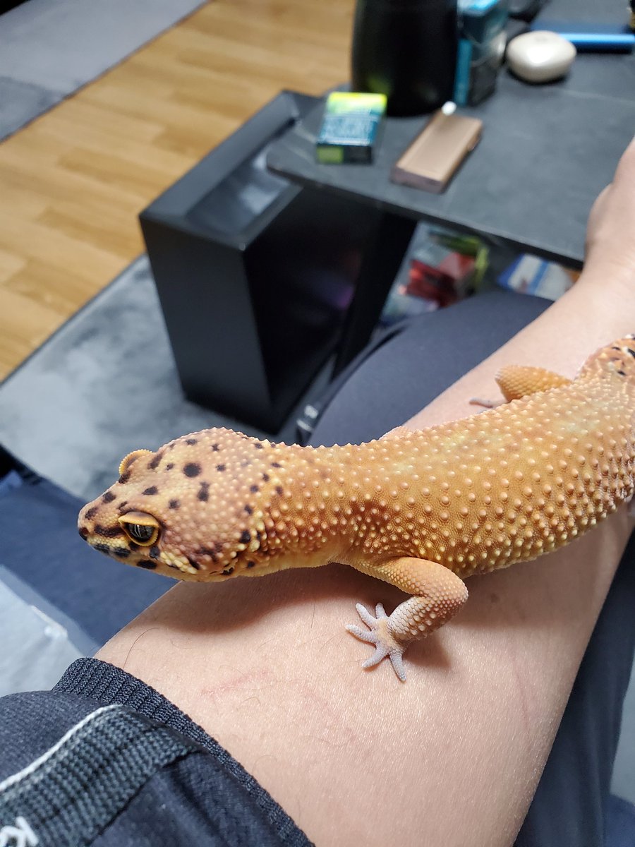 ヒナタ tweet media