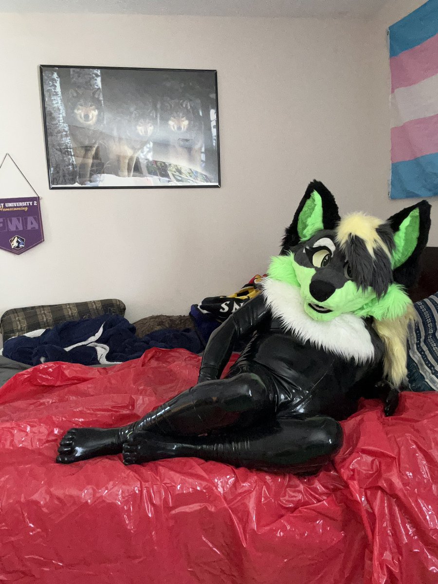 Why don’t you join me
For some rubber snugs this lovely #ShinySaturday #SqueakySaturday #LatexFur #RubberFur
