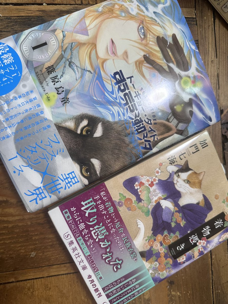 punanko's tweet image. 猫の日に届いてうれしい加門七海先生と
篠原烏童先生の新刊