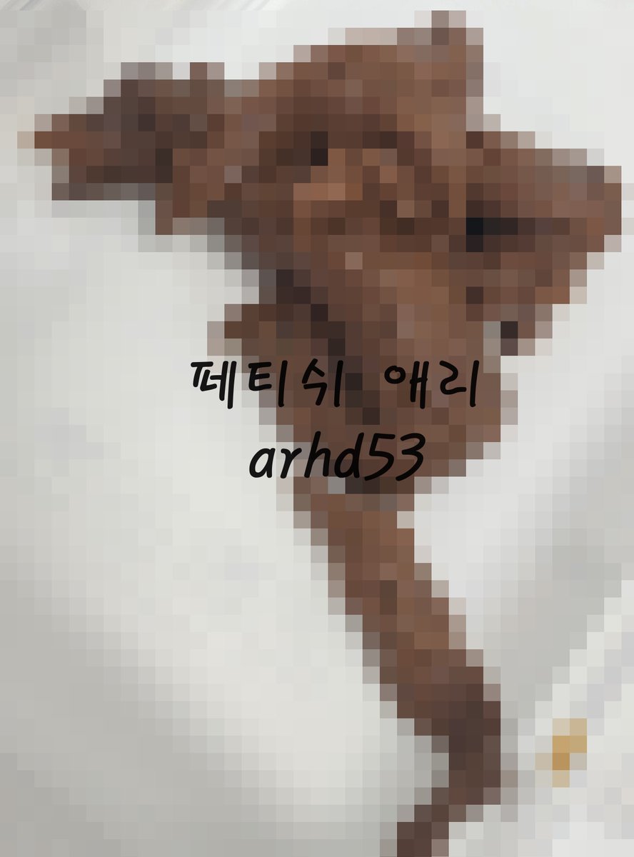 arhd53's tweet photo. 45. 스캇 보관함 ♥

#스캇 #스캇사진 #능욕 #변기 #펨돔 #페티쉬 #섹트 #성향 https://t.co/ILUdfcljQB