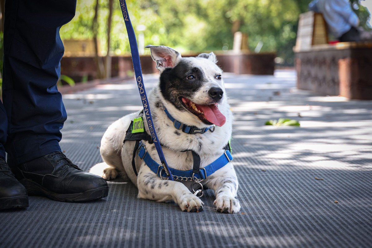 Wild-Raven tweet media