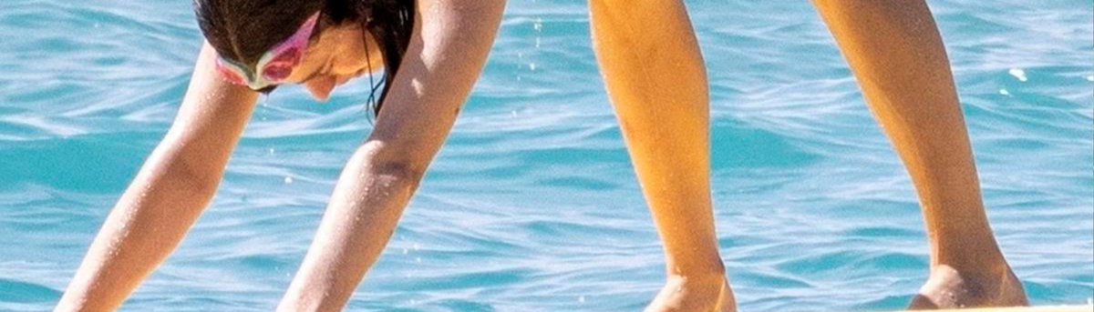 mafia craves tweet media