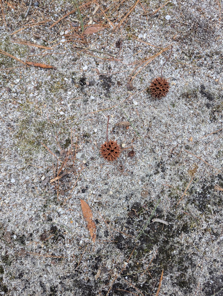 What do you guys call these things?