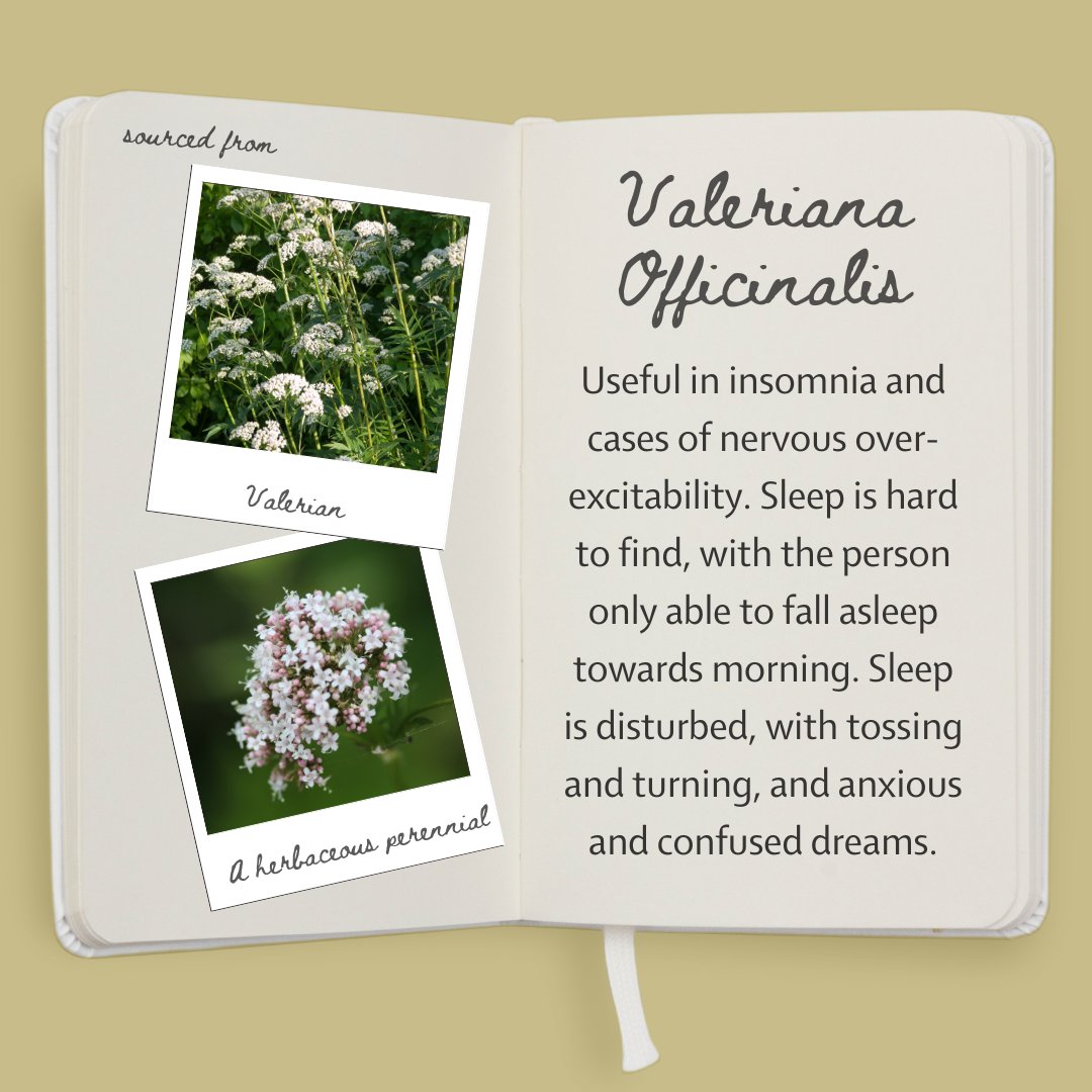 School of Homeopathy tweet media