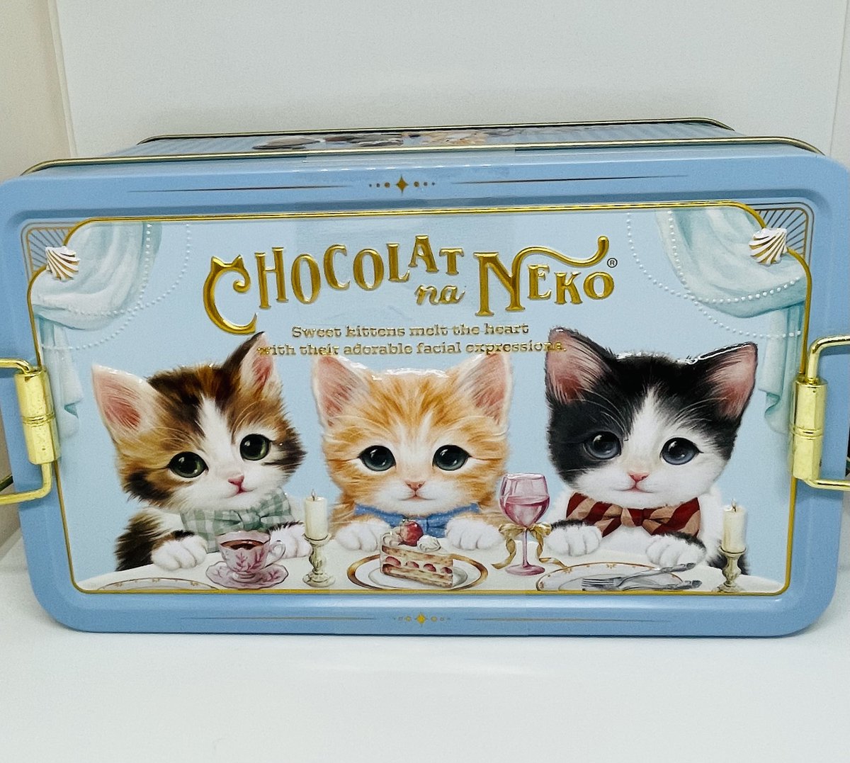 今日は2月22日 「猫の日」🐈 全ての猫ちゃんが、幸せに過ごせますよう