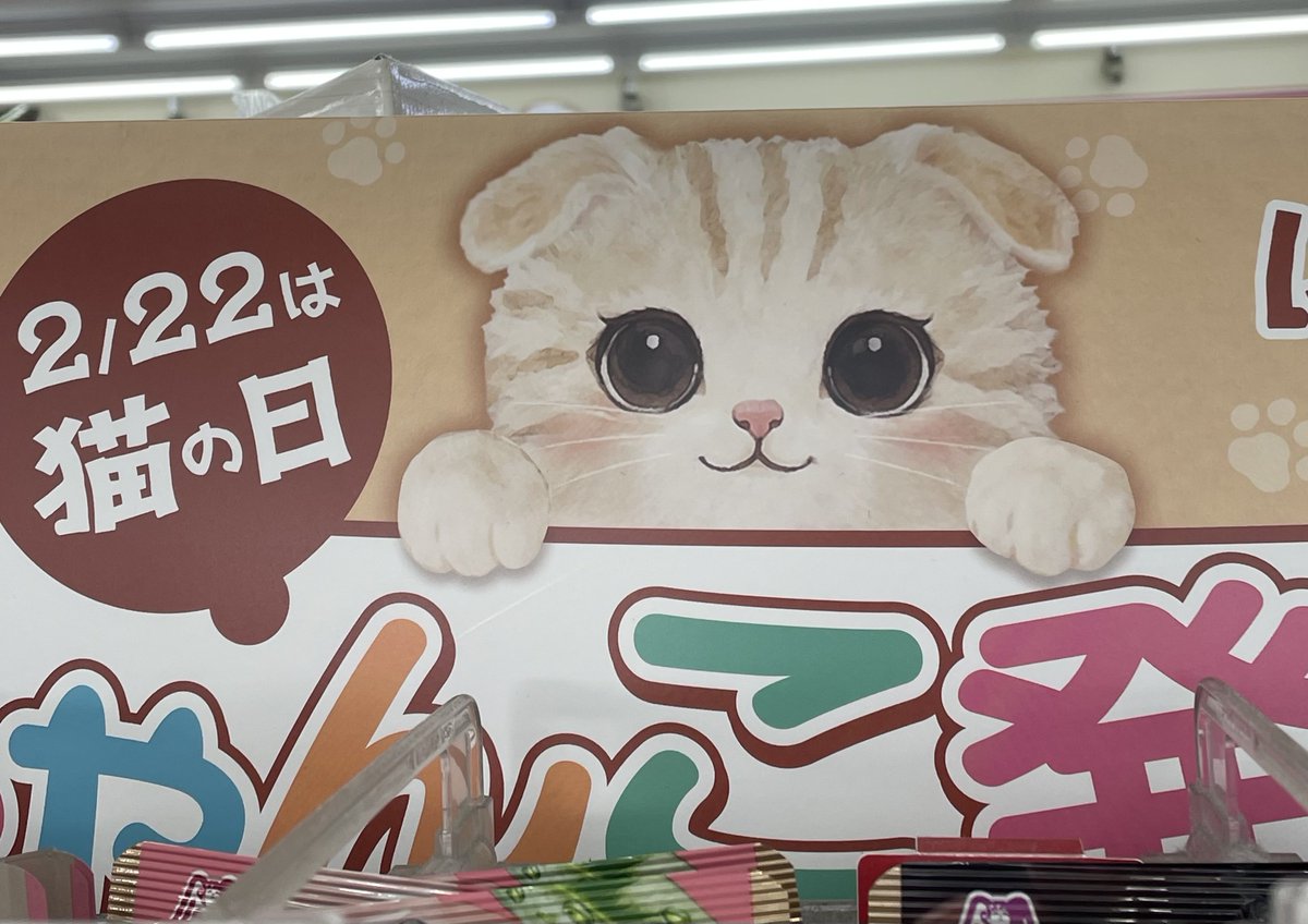 今日は2月22日 「猫の日」🐈 全ての猫ちゃんが、幸せに過ごせますよう
