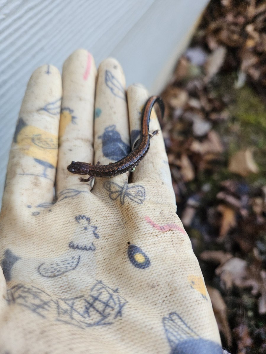 Panic_Keyryn tweet media