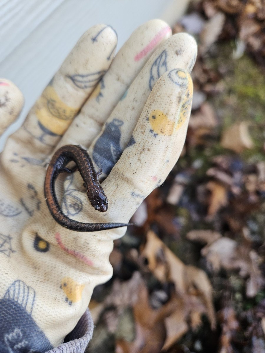 Panic_Keyryn tweet media