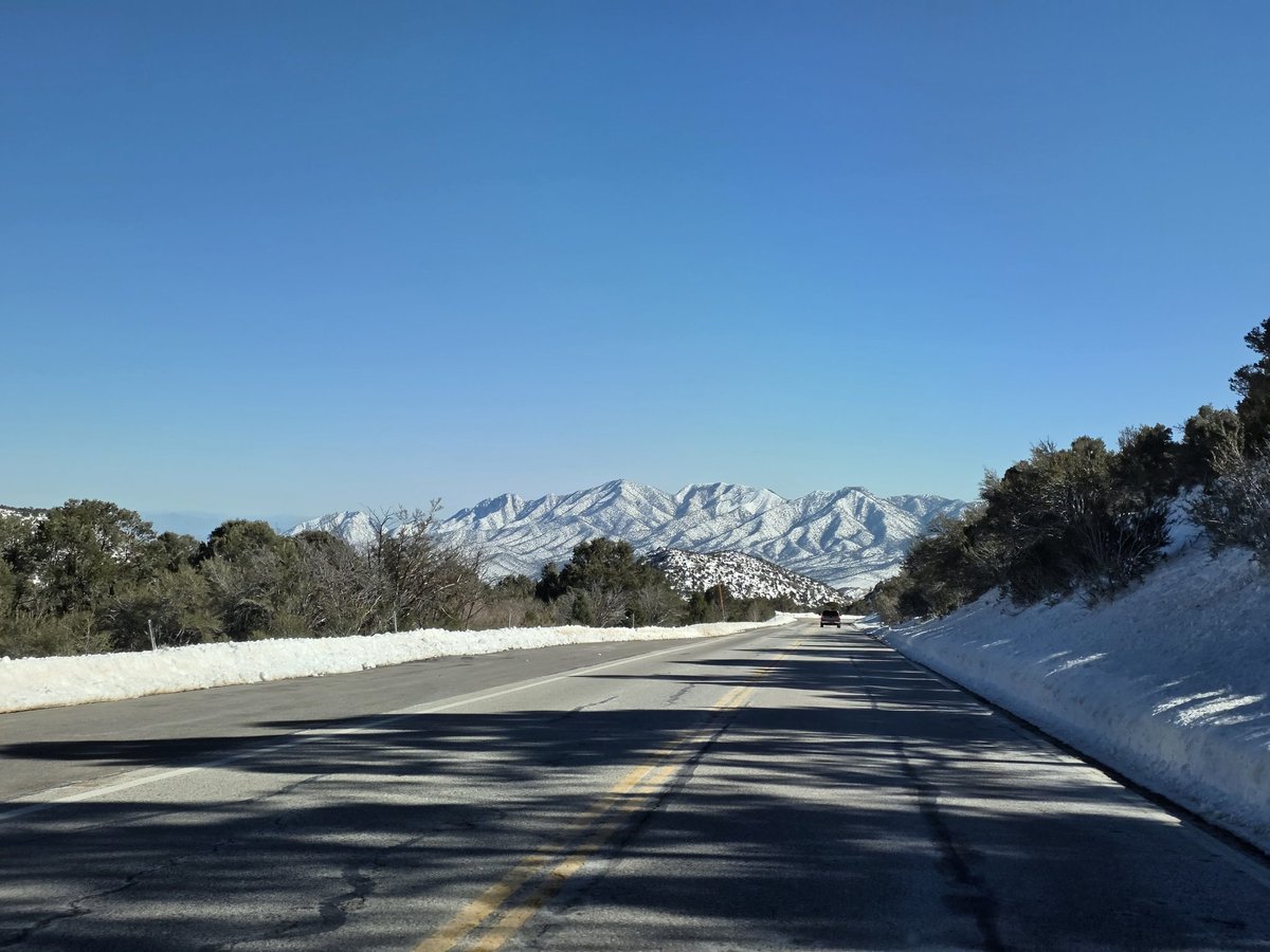 Anuel Osari tweet media