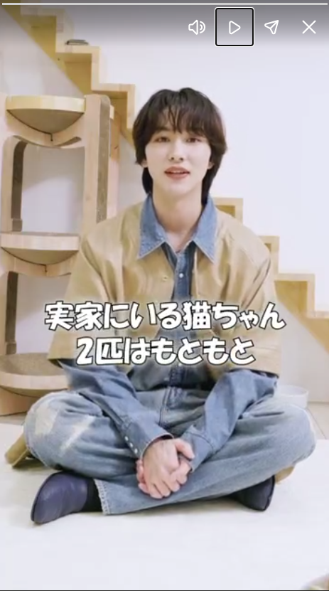 i0onwcCn2C83973's tweet image. RT @nyaera22: 猫の日ですので
メッセージ動画も特別公開！　ぜひご覧ください🐾

dot.asahi.com/nyaera/

#NyAERA　#岩合光昭　#本多大夢