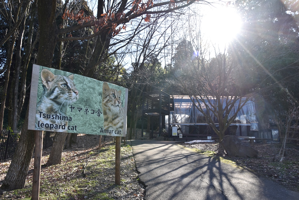 2月22日（#猫の日）の今日も晴天に恵まれました！ 園内に雪は