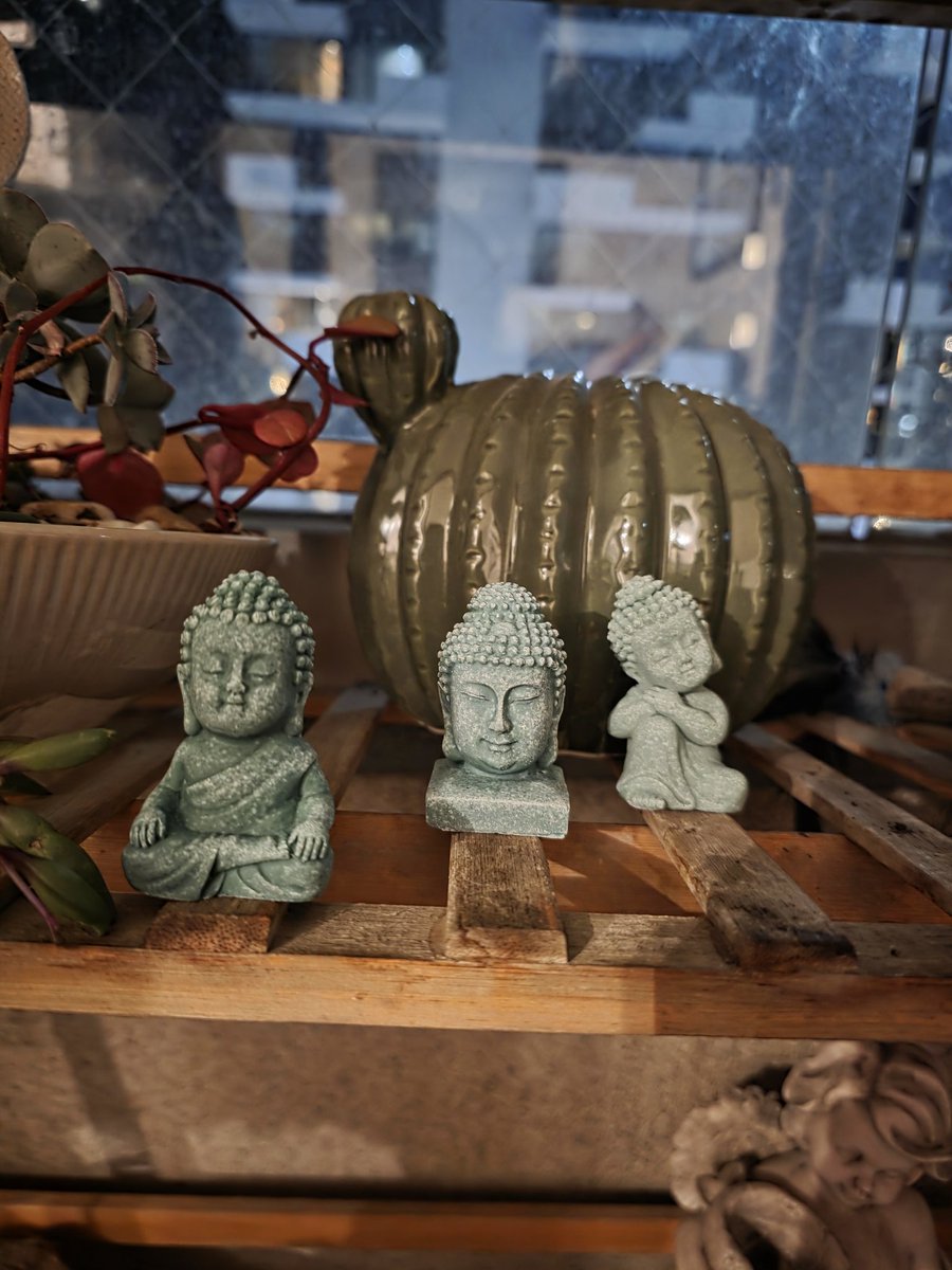 Faraona del Derecho tweet media