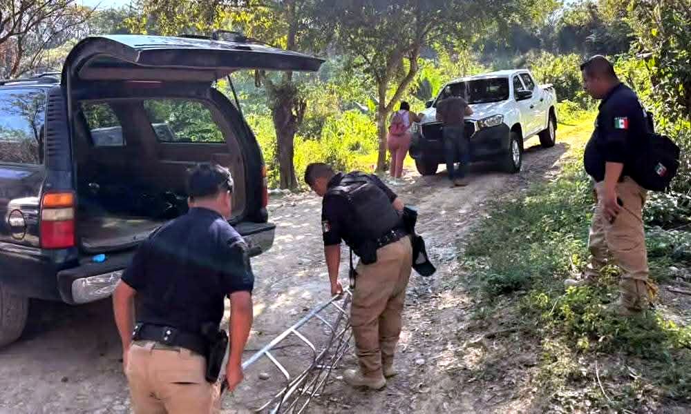 Eco_1_LVM tweet media