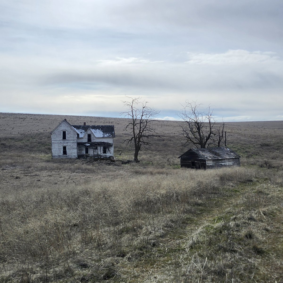 POCKET! 0-C tweet media