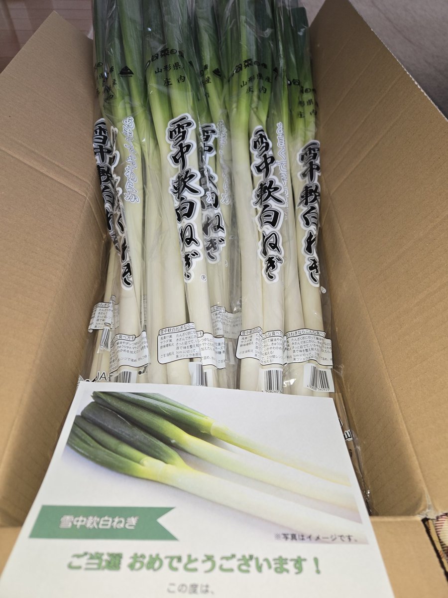 きりん💛🌼 (@U4lOj) / Posts / X