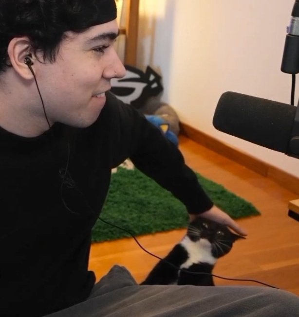 ella solo quiere mimos