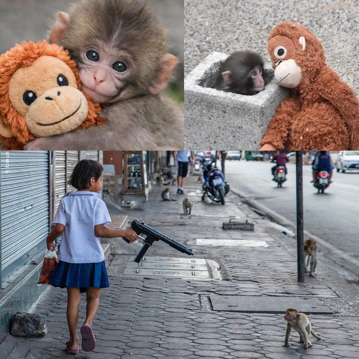 คนไทยกำลังเอ็นดู “พันช์คุง” 
ลูกลิงญี่ปุ่นตาโตกอดตุ๊กตาที่ชอบถูกรังแก
อยู่กลางฉากเหงา ๆ เพลงเศร้าๆ
.
.
ตัดภาพมาที่
ลูกลิงไทยนั้น…