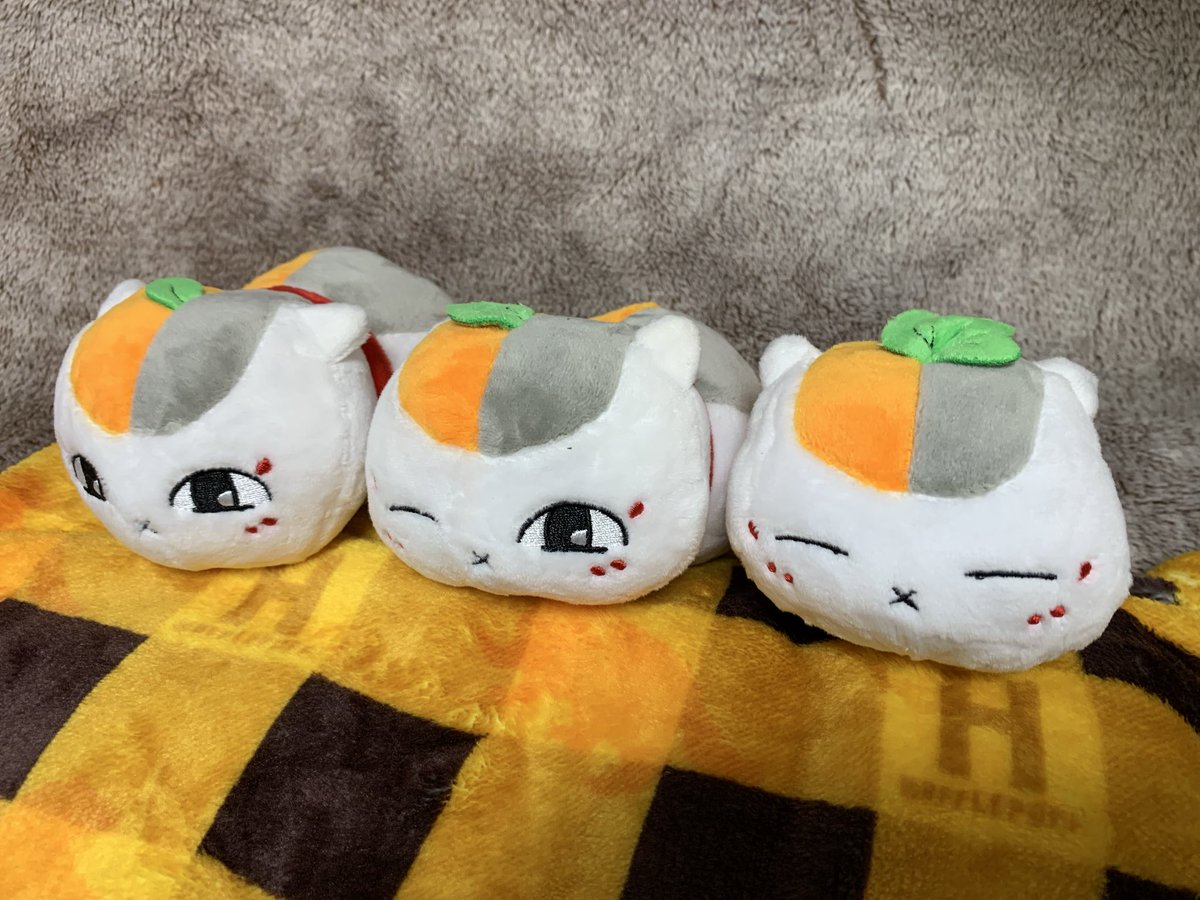 2月22日 にゃんにゃんにゃん 猫の日ですね〜