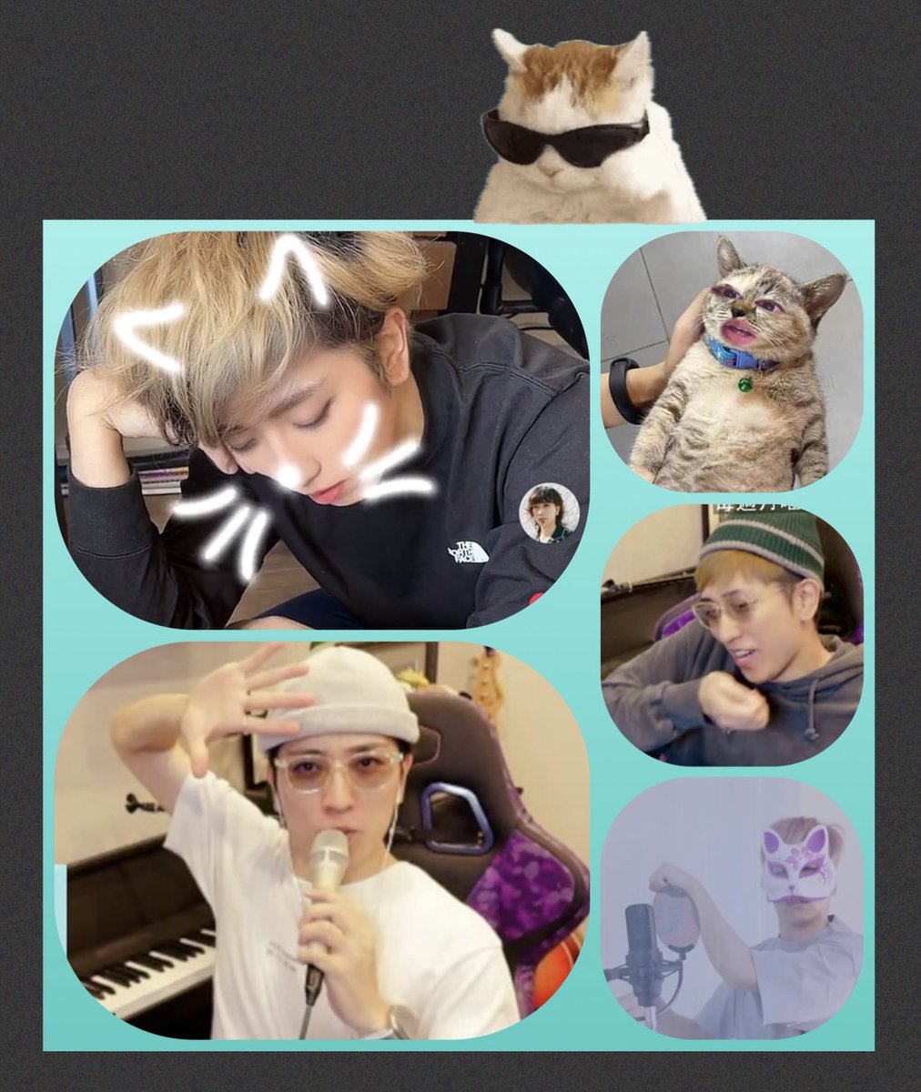 nokko🏠🕳🦡⸒⸒⸒⸒ (@nokko_nokko_) / Posts / X