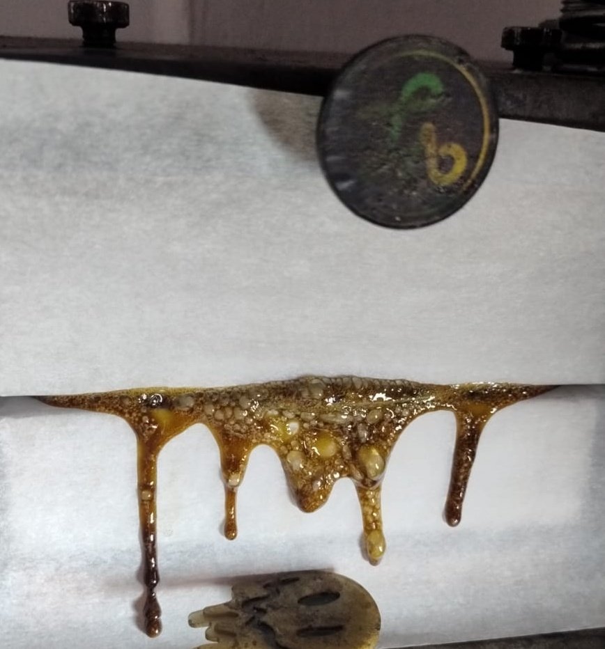 Mr. Verde limón 🍋 tweet media